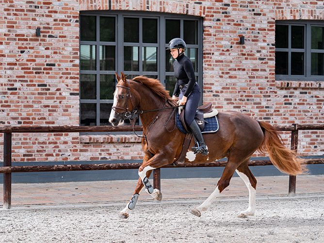 Reiterin auf einem braunen Pferd in einem Reitstall mit Backsteinmauer.