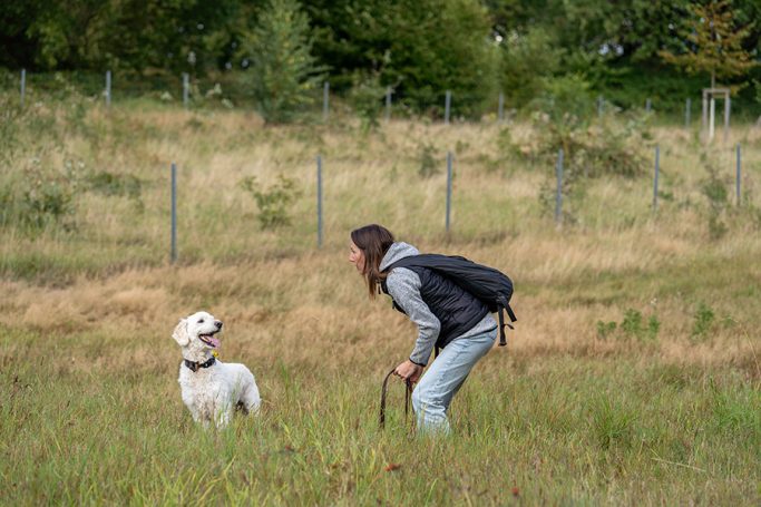 Eine Person kniet im Gras und interagiert mit einem weißen Hund.