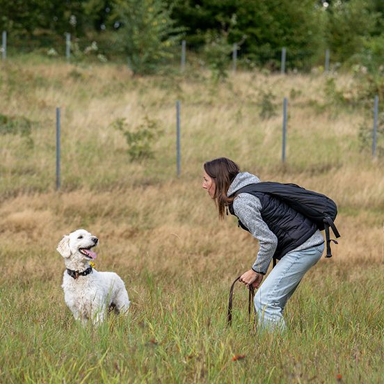 Frau steht auf einer Wiese und schaut lächelnd zu ihrem Hund.