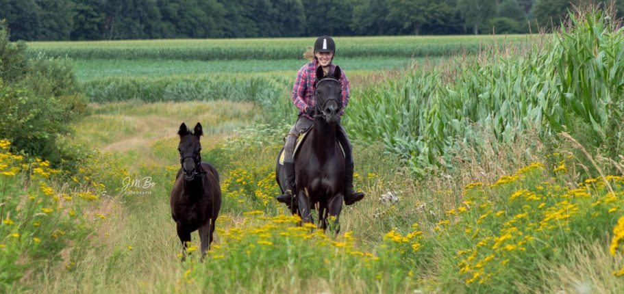 Reiterin auf schwarzem Pferd, begleitet von einem schwarzen Fohlen auf einem Feldweg.