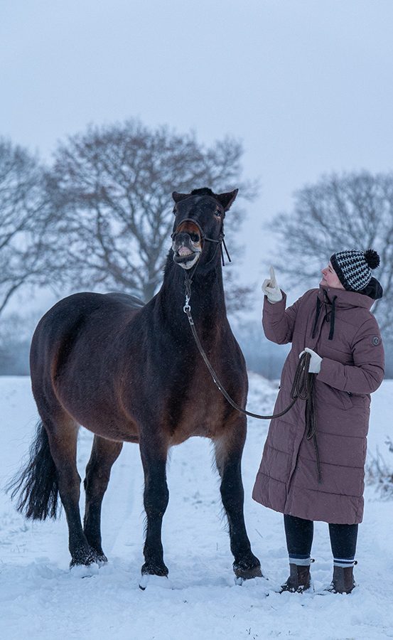 Weißer Hund mit lockigem Fell steht in einer blühenden Wiese.