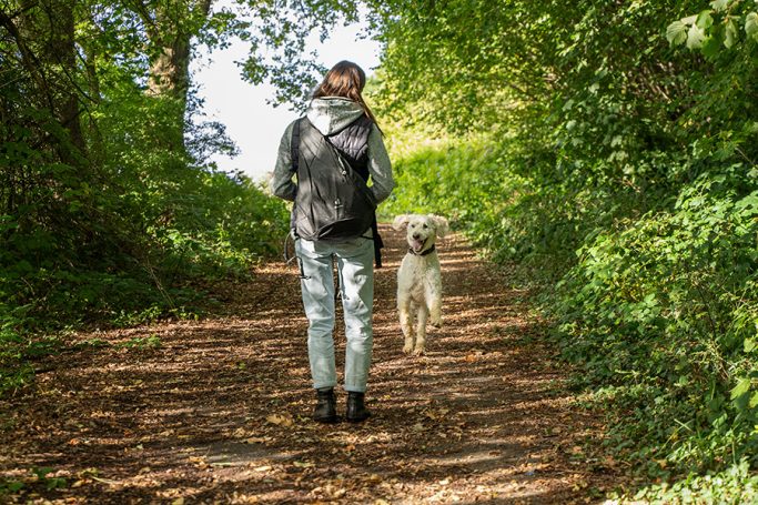 Eine Person mit Rucksack geht mit einem Hund auf einem Waldweg.