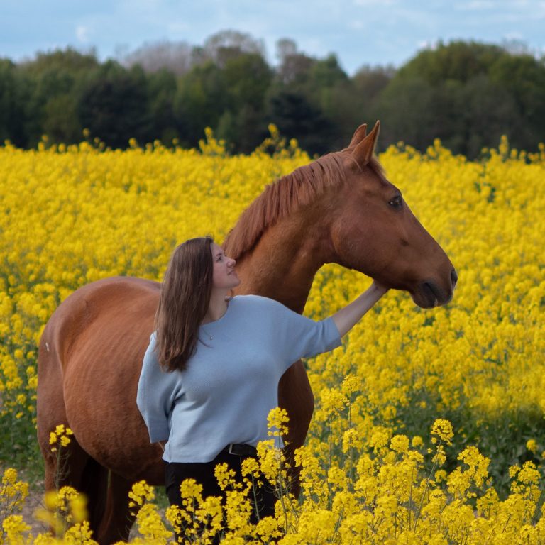 Braunem Pferd in einem gelben Rapsfeld, eine Frau streichelt es sanft.