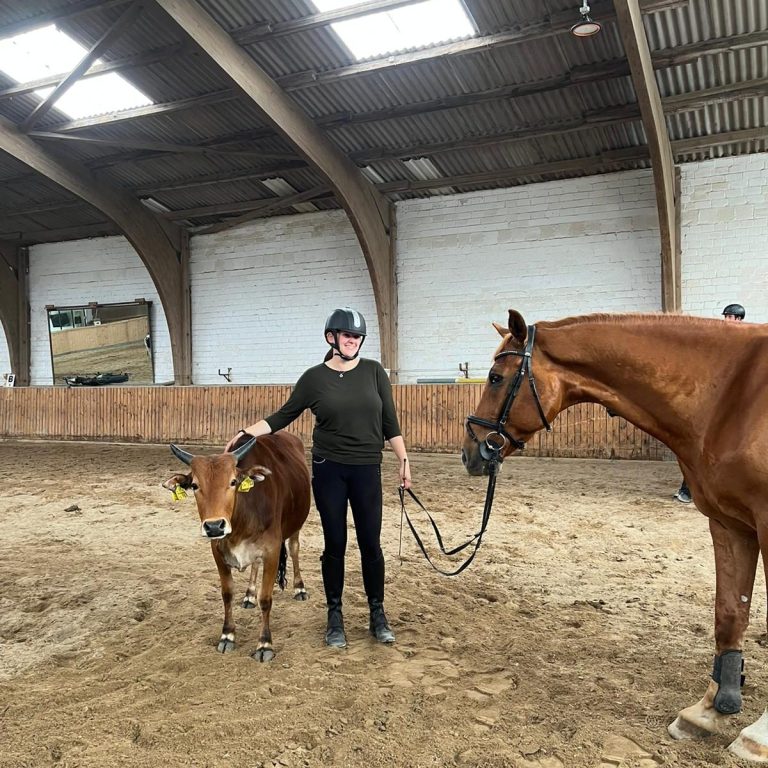 Reiter steht in einer Halle neben einem Pferd und einer Kuh.