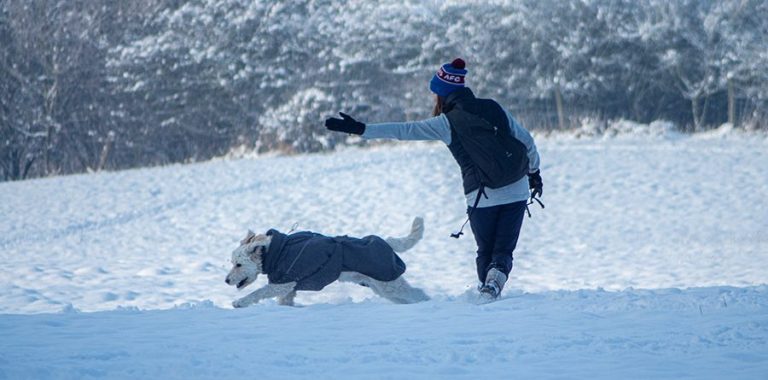 Eine Frau sitzt bei sonnigem Wetter lächelnd auf den Gleisen, spielt mit einem Hund.
