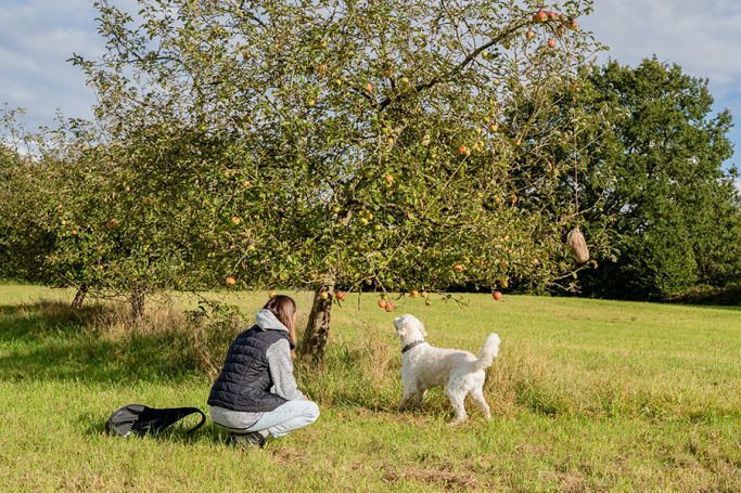 Ein Mensch steht neben einem Hund unter einem Obstbaum auf einer Wiese.